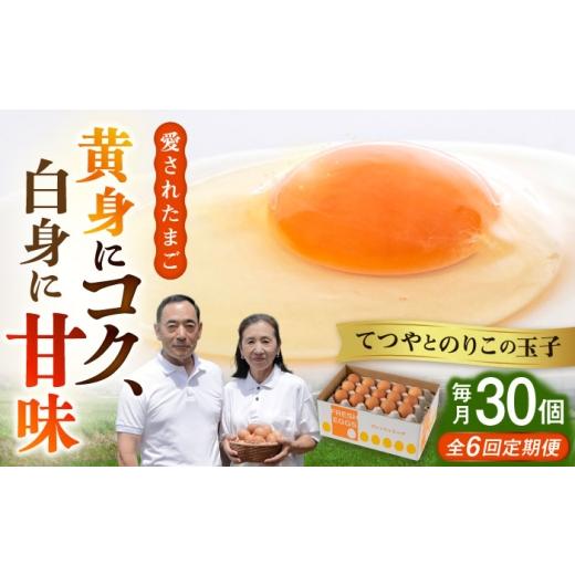 ふるさと納税 卵（鶏、烏骨鶏等） 福岡県 糸島市 全6回 定期便 てつやとのりこの 玉子 30個 × 6ヶ月 《糸島》 板垣ファーム AWD009
