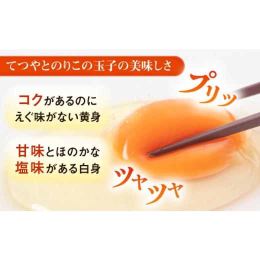 ふるさと納税 卵（鶏、烏骨鶏等） 福岡県 糸島市 全6回 定期便 てつやとのりこの 玉子 30個 × 6ヶ月 《糸島》 板垣ファーム AWD009
