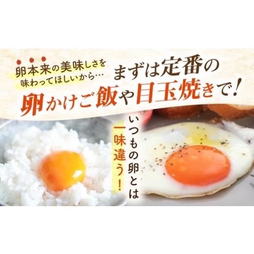 ふるさと納税 卵（鶏、烏骨鶏等） 福岡県 糸島市 全6回 定期便 てつやとのりこの 玉子 30個 × 6ヶ月 《糸島》 板垣ファーム AWD009
