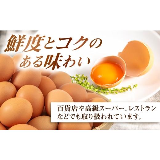 ふるさと納税 卵（鶏、烏骨鶏等） 福岡県 糸島市 全6回 定期便 てつやとのりこの 玉子 30個 × 6ヶ月 《糸島》 板垣ファーム AWD009