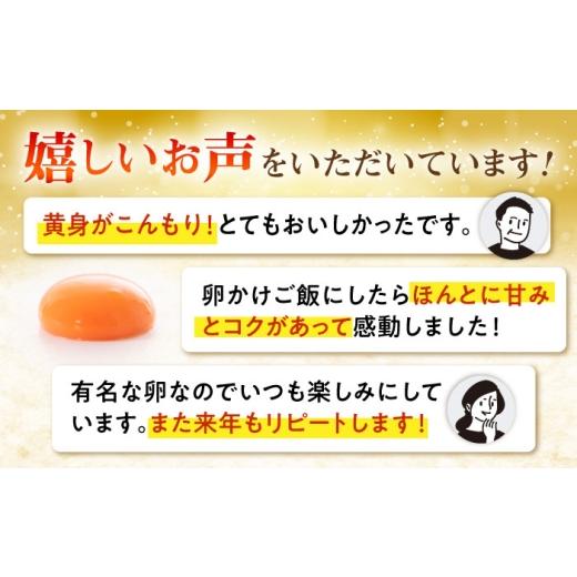 ふるさと納税 卵（鶏、烏骨鶏等） 福岡県 糸島市 全6回 定期便 てつやとのりこの 玉子 30個 × 6ヶ月 《糸島》 板垣ファーム AWD009