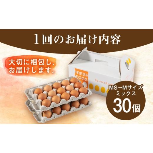 ふるさと納税 卵（鶏、烏骨鶏等） 福岡県 糸島市 全6回 定期便 てつやとのりこの 玉子 30個 × 6ヶ月 《糸島》 板垣ファーム AWD009
