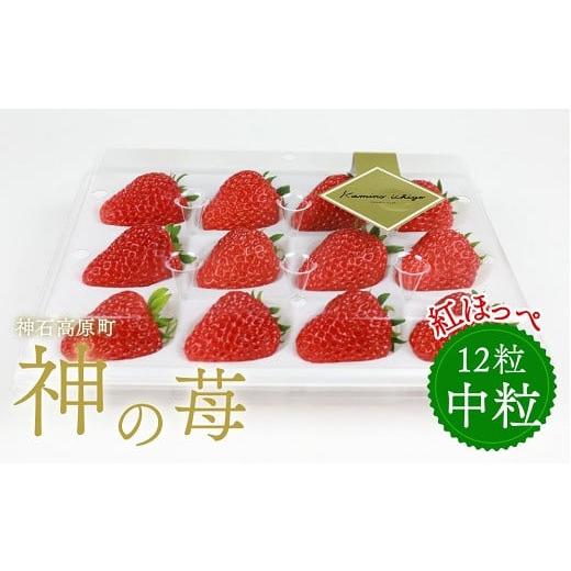 ふるさと納税 いちご 広島県 神石高原町 神石高原産「神の苺」(中粒) 令和8年1月から4月発送予定