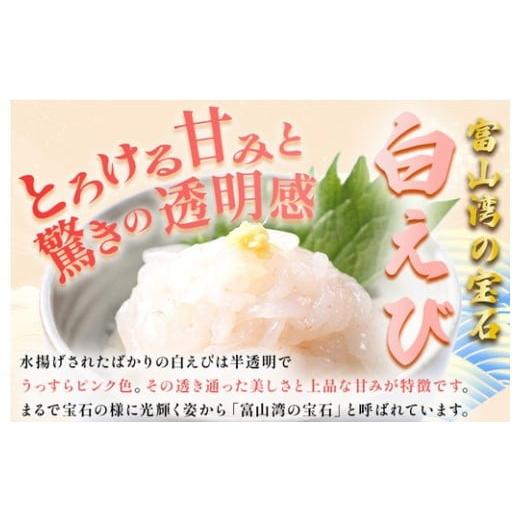 ふるさと納税 エビ 富山県 射水市 白えび刺身100g×2個_2