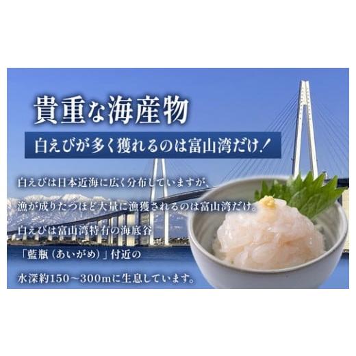 ふるさと納税 エビ 富山県 射水市 白えび刺身100g×2個_3
