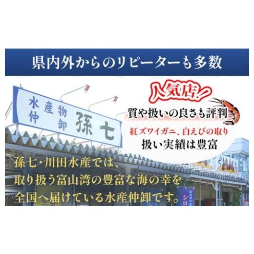 ふるさと納税 エビ 富山県 射水市 白えび刺身100g×2個_4