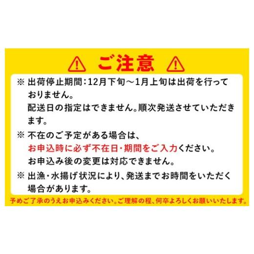 ふるさと納税 エビ 富山県 射水市 白えび刺身100g×2個_7