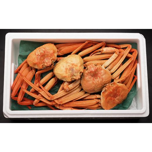 ふるさと納税 富山県 射水市 [No.5683-0445]【おすすめ】紅ズワイガニ約2kg（4〜6尾） 