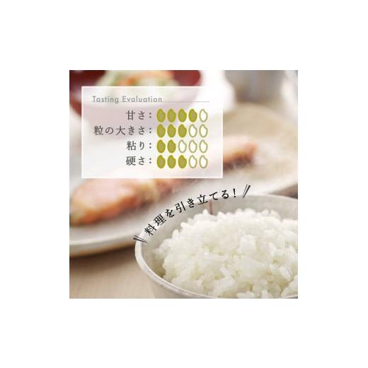 ミルク】ふるさと納税 令和6年産 新潟県産 こしいぶき 5kg お米 精米