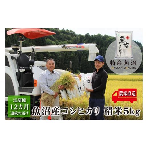 ふるさと納税 米 コシヒカリ 新潟県 魚沼市   農家直送 魚沼産コシヒカリ 精米5kg 12ヶ月連続お届け