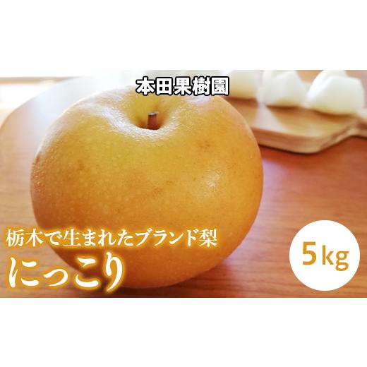 ふるさと納税 梨 栃木県 上三川町 「にっこり」 梨 なし 5kg | 先行予約 数量限定 贈答用 なし 梨 果物 くだもの フルーツ ナシ 旬 にっこり 栃木県 上三川町 …