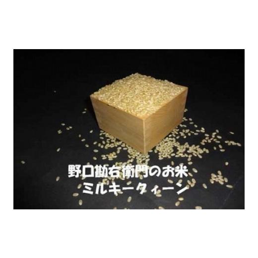 ふるさと納税 茨城県 美浦村 【5年産】野口勘右衛門のお米「玄米食最適米（ミルキークイーン）」玄米20kg(10kg×2) 10kg×2