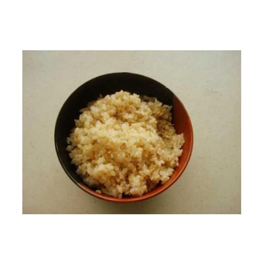 ふるさと納税 茨城県 美浦村 【5年産】野口勘右衛門のお米「玄米食最適米（ミルキークイーン）」玄米20kg(10kg×2) 10kg×2