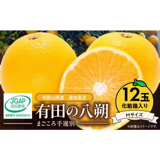 ふるさと納税 みかん・柑橘類 和歌山県 湯浅町 2027年先行予約 和歌山県産 有田の八朔 (はっさく) 化粧箱入り Mサイズ 12個入り まごころ手選別 _ZE6365n