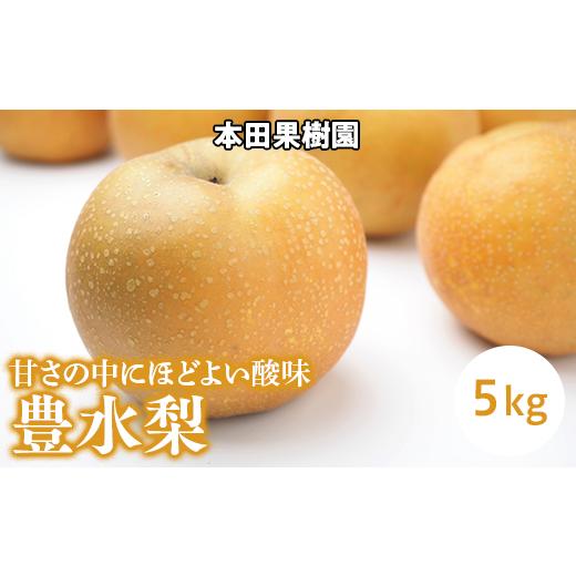 ふるさと納税 梨 栃木県 上三川町 「豊水梨」 梨 なし 5kg | 先行予約 数量限定 贈答用 なし 梨 果物 くだもの フルーツ ナシ 旬 豊水 栃木県 上三川町 本田果…