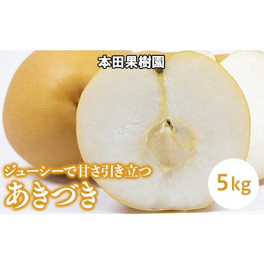 ふるさと納税 梨 栃木県 上三川町 「あきづき」 梨 なし 5kg | 先行予約 数量限定 贈答用 なし 梨 果物 くだもの フルーツ ナシ あきづき 旬 栃木県 上三川町 …