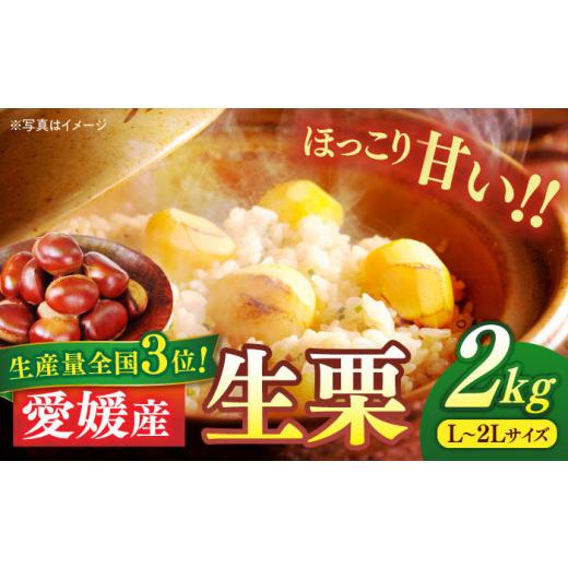 ふるさと納税 果物類 栗 愛媛県 大洲市 栗 先行予約 2026年9月上旬より順次発送 生栗 2kg(L〜2Lサイズ) 愛媛県大洲市/沢井青果 AGBN043 クリ くり 栗ご飯 …