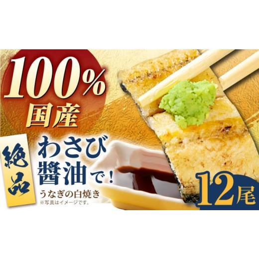 ふるさと納税 うなぎ 佐賀県 江北町 わさび醤油でいただく 国産うなぎ 白焼き 12尾 魚正 HBV008_1