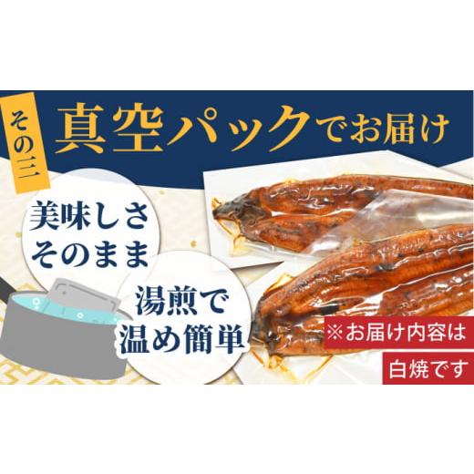 ふるさと納税 うなぎ 佐賀県 江北町 わさび醤油でいただく 国産うなぎ 白焼き 12尾 魚正 HBV008_5