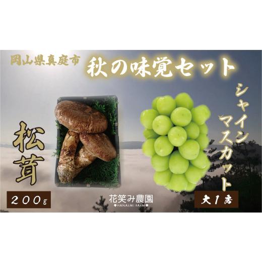 ふるさと納税 野菜類 きのこ 岡山県 真庭市  2026年先行予約 花笑み農園　岡山の『松茸+シャインマスカット』秋の味覚セット hana022-02_1