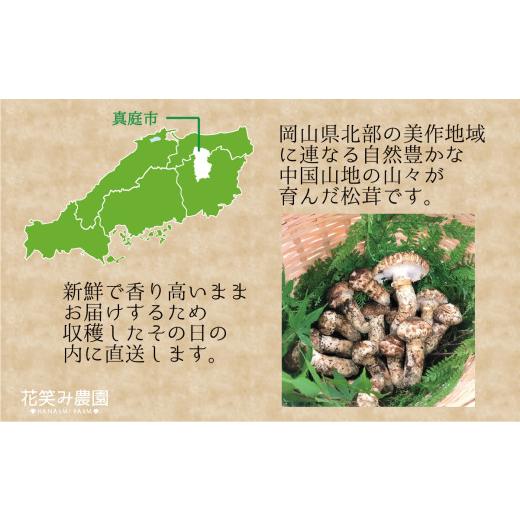 ふるさと納税 野菜類 きのこ 岡山県 真庭市  2026年先行予約 花笑み農園　岡山の『松茸+シャインマスカット』秋の味覚セット hana022-02_3