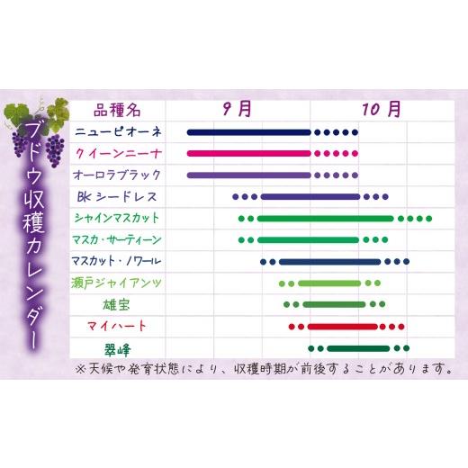 ふるさと納税 野菜類 きのこ 岡山県 真庭市  2026年先行予約 花笑み農園　岡山の『松茸+シャインマスカット』秋の味覚セット hana022-02_7