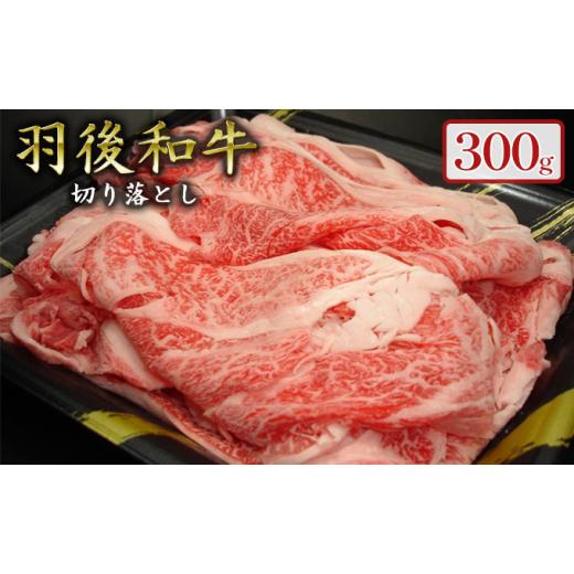 ふるさと納税 牛肉 秋田県 羽後町 羽後和牛 贅沢切り落とし300g