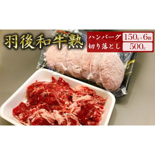 ふるさと納税 牛肉 ハンバーグ 秋田県 羽後町 「羽後和牛」の生みの親 「羽後和牛 熟」ハンバーグ150g×6個+切り落とし500g