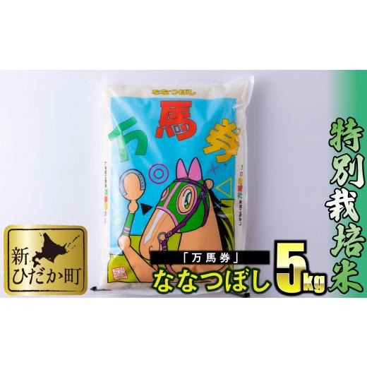 ふるさと納税 米 北海道 新ひだか町 北海道産 特別栽培米 ななつぼし 万馬券 5kg 白米 精米 お米 北海道米