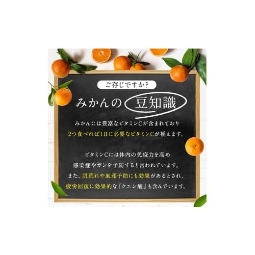 ふるさと納税 果物類 みかん 熊本県 玉名市 訳あり 熊本県産 温州 約