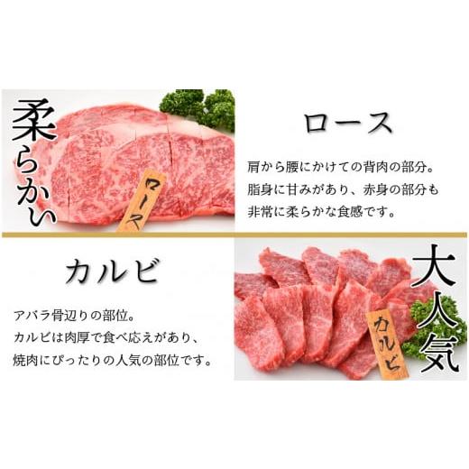 ふるさと納税 アウトドアグッズ 福井県 坂井市 極上 牧場直営「牛若丸」厳選 BBQファミリーセット 若狭牛 800g ＆ 上ハラミ 200g ＆ 豚トロ 200g（タレ付き）…の画像