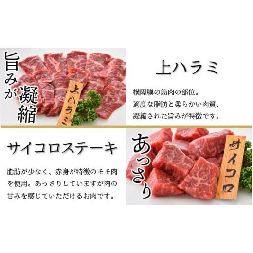 ふるさと納税 アウトドアグッズ 福井県 坂井市 極上 牧場直営「牛若丸」厳選 BBQファミリーセット 若狭牛 800g ＆ 上ハラミ 200g ＆ 豚トロ 200g（タレ付き）…の画像