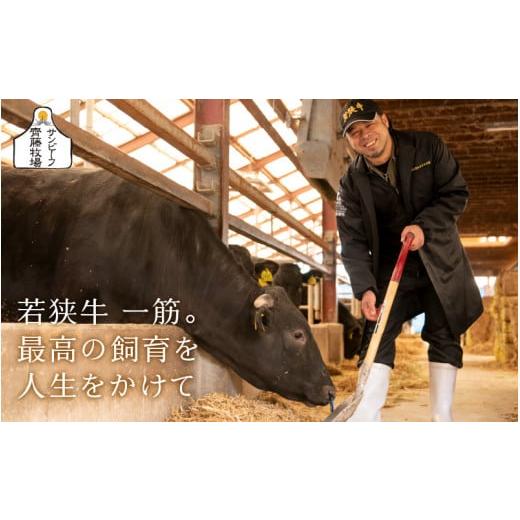 ふるさと納税 アウトドアグッズ 福井県 坂井市 極上 牧場直営「牛若丸」厳選 BBQファミリーセット 若狭牛 800g ＆ 上ハラミ 200g ＆ 豚トロ 200g（タレ付き）…の画像