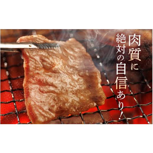ふるさと納税 アウトドアグッズ 福井県 坂井市 極上 牧場直営「牛若丸」厳選 BBQファミリーセット 若狭牛 800g ＆ 上ハラミ 200g ＆ 豚トロ 200g（タレ付き）…の画像