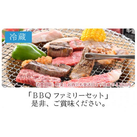 ふるさと納税 アウトドアグッズ 福井県 坂井市 極上 牧場直営「牛若丸」厳選 BBQファミリーセット 若狭牛 800g ＆ 上ハラミ 200g ＆ 豚トロ 200g（タレ付き）…の画像