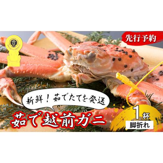 ふるさと納税 カニ ずわいガニ 福井県 若狭町 訳あり 期間限定 茹で 越前ガニ 約600g〜700g未満 1杯 脚折れ 茹でガニ 越前カニ 越前蟹 ズワイガニ ずわい蟹 か…_1