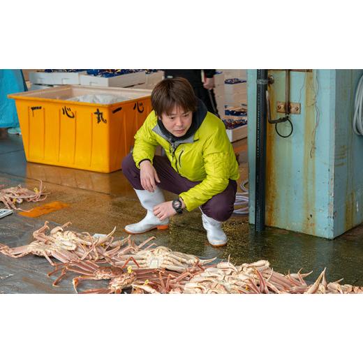 ふるさと納税 カニ ずわいガニ 福井県 若狭町 訳あり 期間限定 茹で 越前ガニ 約600g〜700g未満 1杯 脚折れ 茹でガニ 越前カニ 越前蟹 ズワイガニ ずわい蟹 か…_3