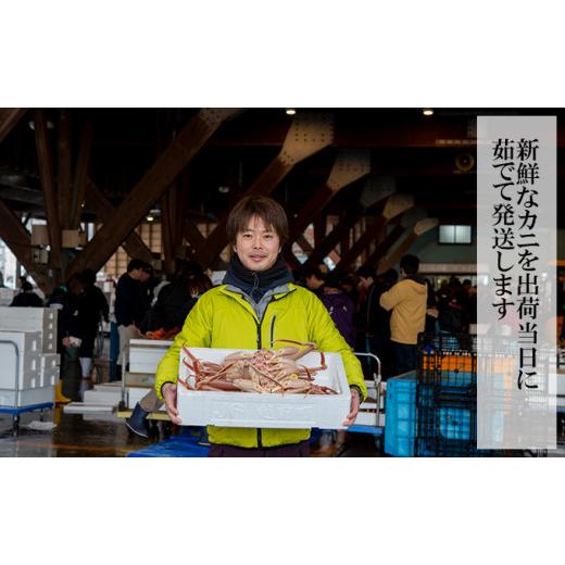 ふるさと納税 カニ ずわいガニ 福井県 若狭町 訳あり 期間限定 茹で 越前ガニ 約600g〜700g未満 1杯 脚折れ 茹でガニ 越前カニ 越前蟹 ズワイガニ ずわい蟹 か…_4