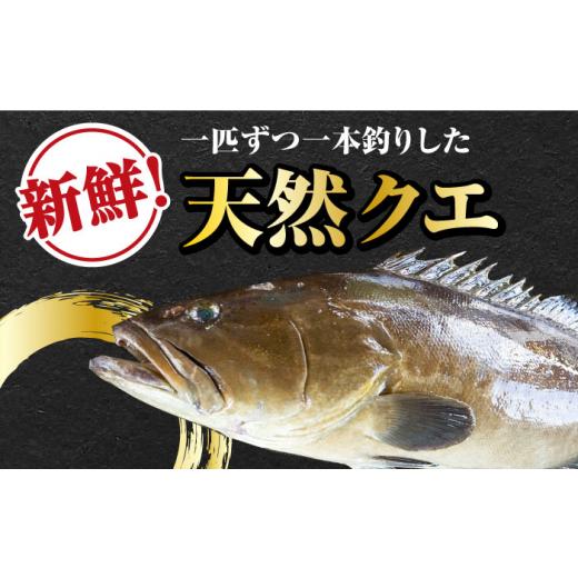 ふるさと納税 鍋セット 長崎県 対馬市  対馬産 最高級 クエ 鍋 セット （ 4〜5人前 ） 《対馬市》 石川水産 水炊き 鮮度抜群 海鮮 WAB008 天然くえ 高級魚 ア…_2