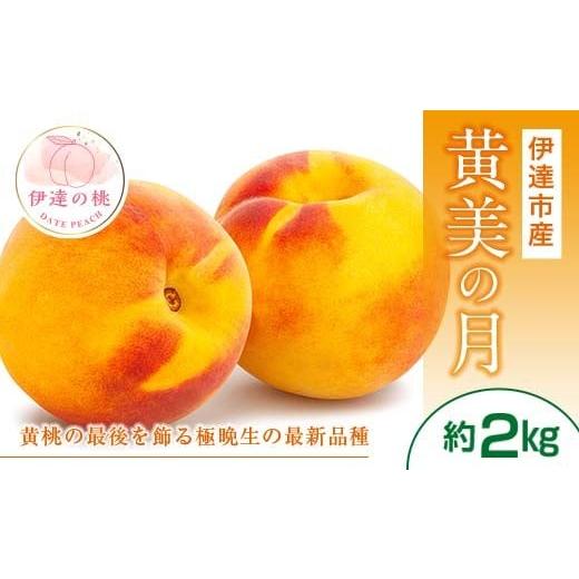 ふるさと納税 もも 福島県 伊達市 2026年出荷分先行予約 福島県産 黄美の月 約2kg (5〜7玉) 高橋もも園 大玉 伊達の桃 桃 フルーツ 果物 もも モモ momo F20C…