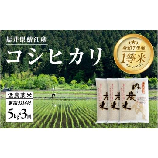 ふるさと納税 米 コシヒカリ 福井県 鯖江市 令和7年産 3ヶ月連続お届け 内農米コシヒカリ定期便 5kg × 3回 計15kg E-00504 / こしひかり 定期便 3ヶ月 減農…