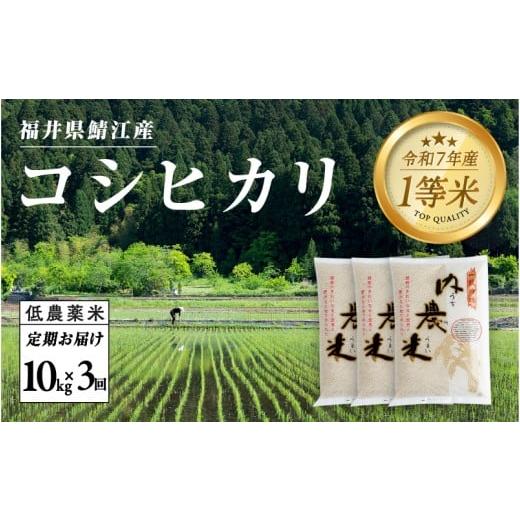 ふるさと納税 米 コシヒカリ 福井県 鯖江市 令和7年産 3ヶ月連続お届け 令和7年産 内農米コシヒカリ定期便 10kg × 3回 計30kg H-00505 / こしひかり白米 …