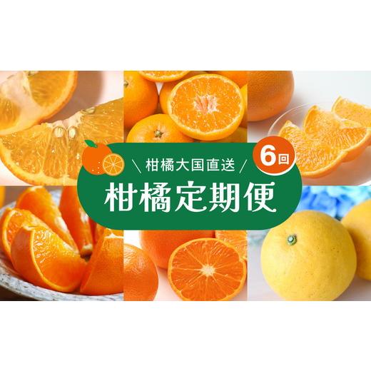 ふるさと納税 果物類 みかん 愛媛県 鬼北町 定期便 えひめかんきつ定期便 全6回 みかん 柑橘 フルーツ 定期便 国産 愛媛県 2026年11月〜発送