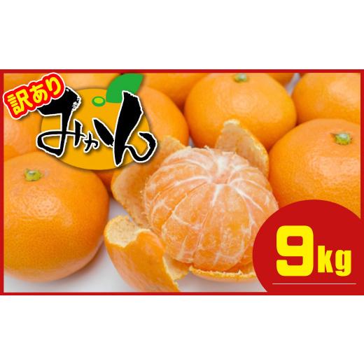 ふるさと納税 果物類 みかん 熊本県 玉名市 訳あり 熊本県産 温州みかん 約 9kg + 約 0.5kg (補償分) | 果物 フルーツ くだもの みかん ミカン 温州ミカン …