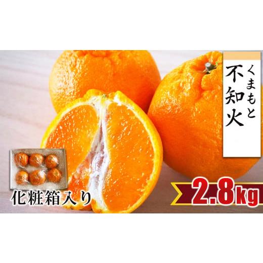 ふるさと納税 みかん・柑橘類 デコポン 熊本県 玉名市 贈答用 ・ 化粧箱 不知火 約2.8kg ( 6玉程度 ) | フルーツ 果物 くだもの 柑橘 ミカン みかん しらぬ…