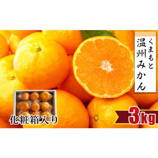 ふるさと納税 果物類 みかん 熊本県 玉名市 贈答用 ・ 化粧箱 温州みかん 約3kg | フルーツ 果物 くだもの 柑橘 ミカン みかん 温州ミカン ギフト 熊本県 玉…