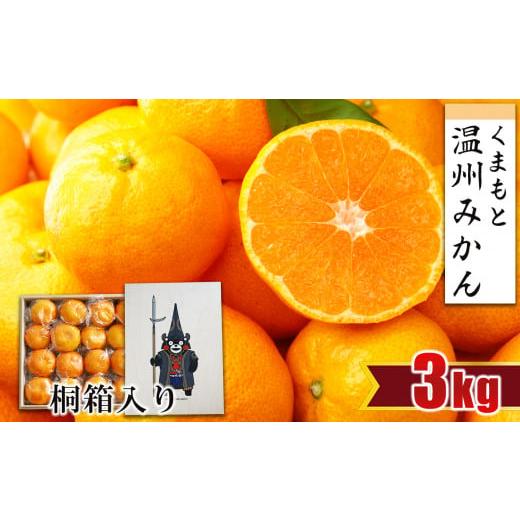 ふるさと納税 果物類 みかん 熊本県 玉名市 贈答用 ・ 桐箱 温州みかん 約3kg | フルーツ 果物 くだもの 柑橘 ミカン みかん 温州ミカン ギフト 熊本県 玉名…