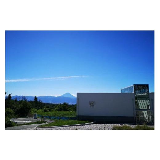 ふるさと納税 ワイン 白ワイン 山梨県 韮崎市 ワイン 白 辛口 一升瓶ワイン 韮崎市 マルスワインブラン 5400ml 山梨ワイン 白ワイン 1.8L×3本 ワインセット …
