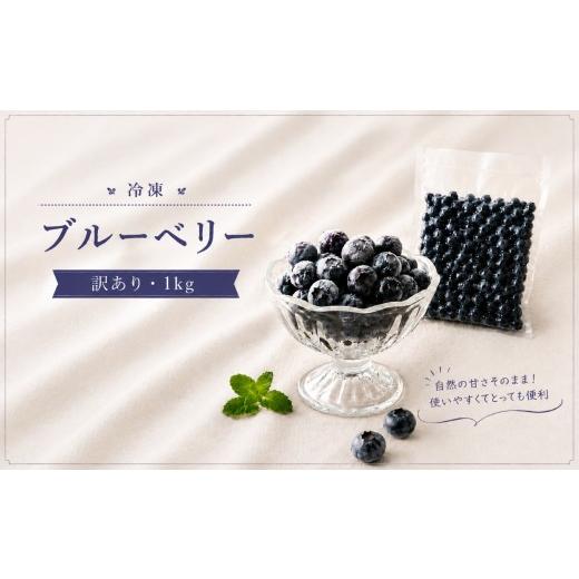 ふるさと納税 果物類 山口県 美祢市 冷凍ブルーベリー 訳あり 1kg | ブルーベリー ラビットアイ ラビットアイ系 国産 果物 くだもの フルーツ 冷凍フルーツ …