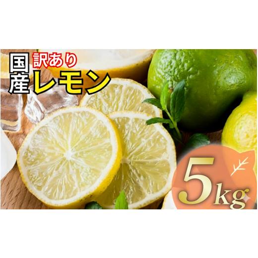 ふるさと納税 みかん・柑橘類 レモン 愛媛県 愛南町 レモン 訳あり 5kg 10000円 送料無料 大容量 愛媛 国産 柑橘 フルーツ 産地直送 皮ごと 皮 まで 食べられ…